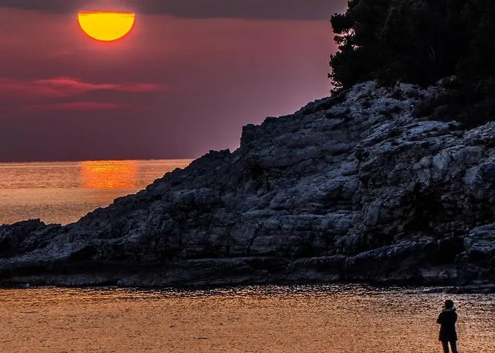 Twins Markovic Lägenhet