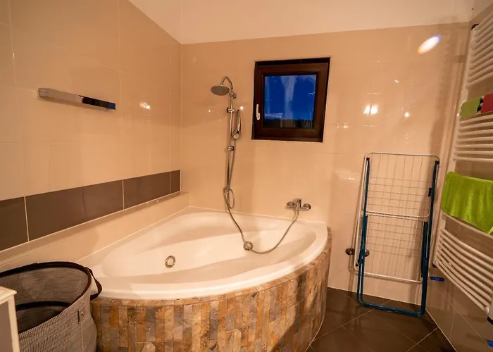 Twins Markovic Lejlighed Pula